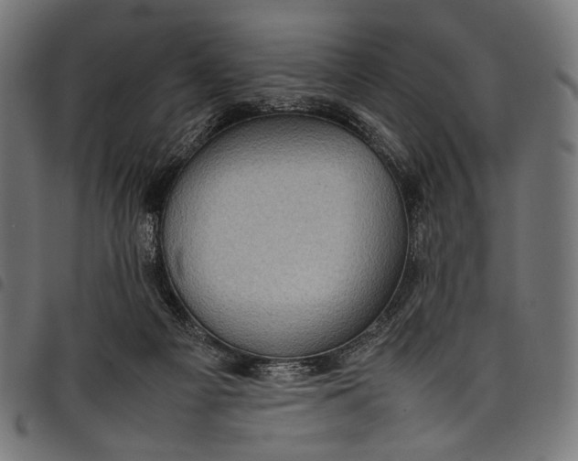 X0000097820121200803281129