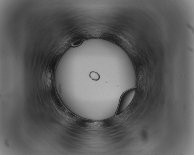 X0000097820122200803281129