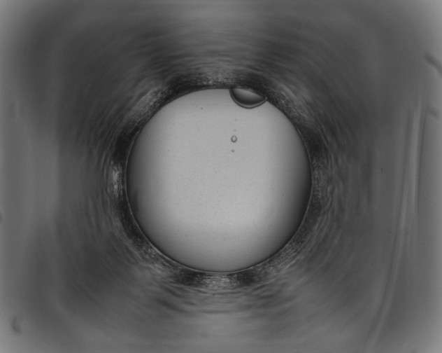 X0000097820123200803281129