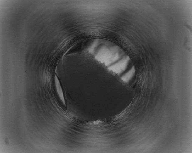 X0000097820124200803281129