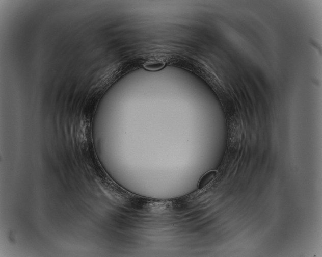 X0000097820126200803281129