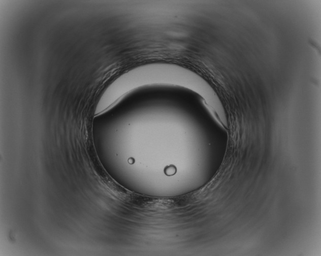 X0000097820128200803281129