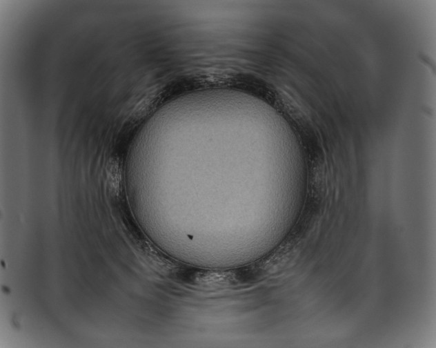 X0000097820129200803281129