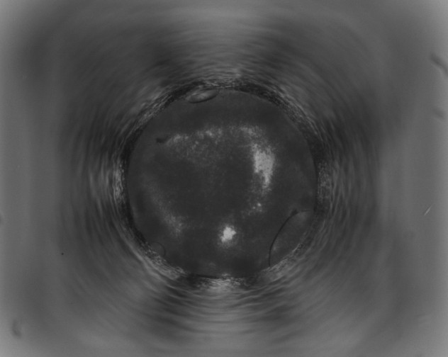 X0000097820130200803281129