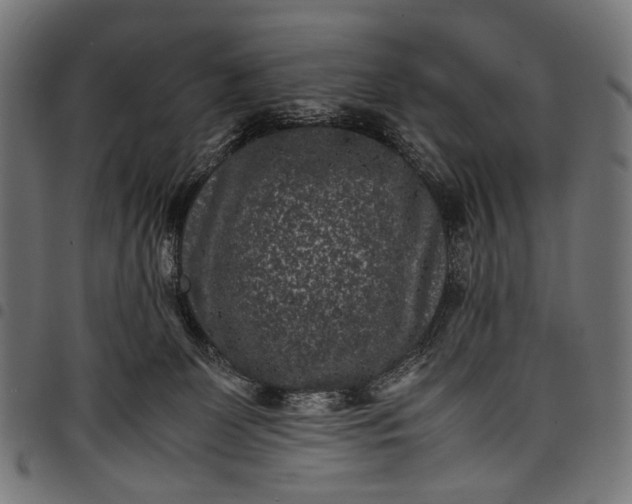 X0000097820131200803281129