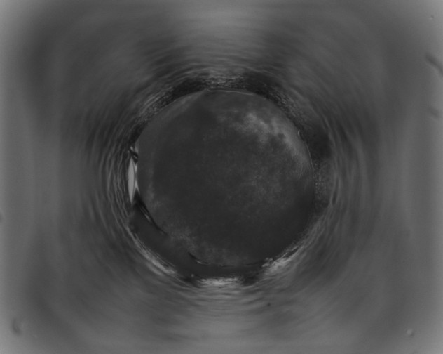 X0000097820137200803281129