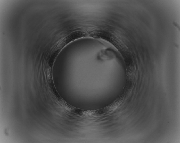 X0000097820139200803281129