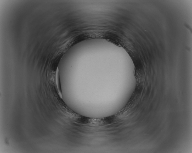 X0000097820141200803281129