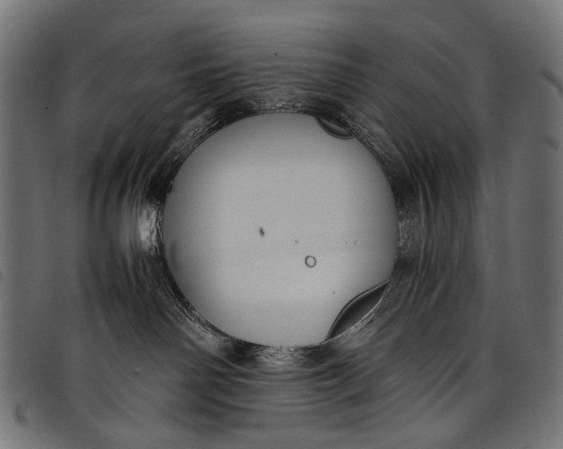 X0000097820142200803281129