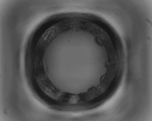 X0000097820143200803281129