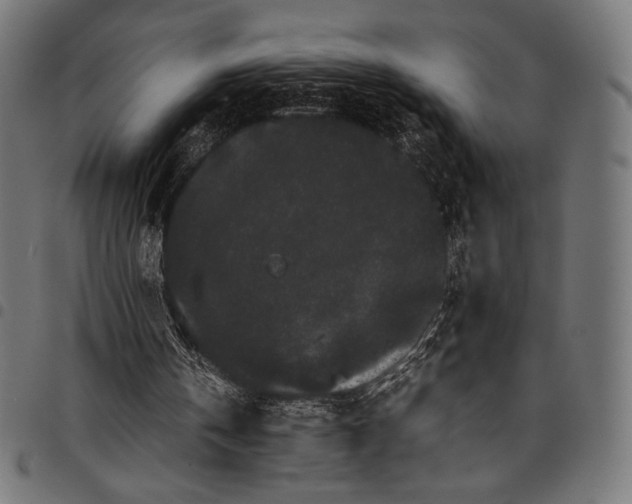 X0000097820146200803281128