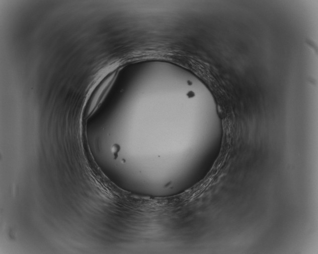 X0000097820148200803281129