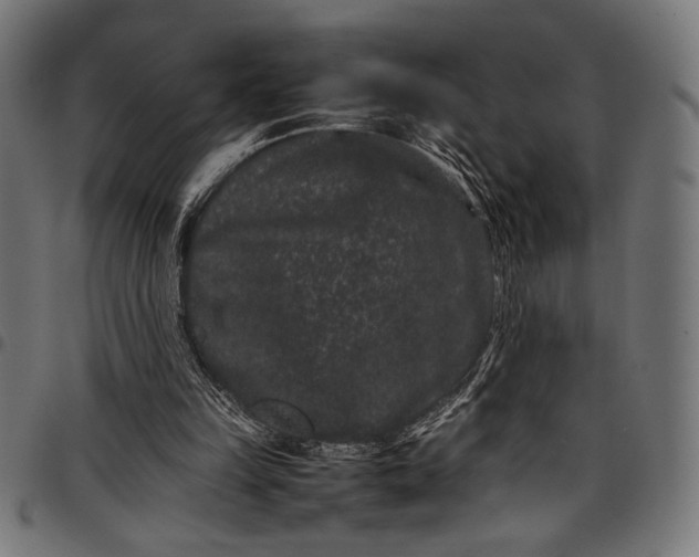 X0000097820149200803281129