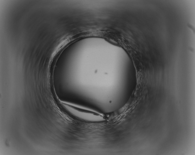 X0000097820150200803281129