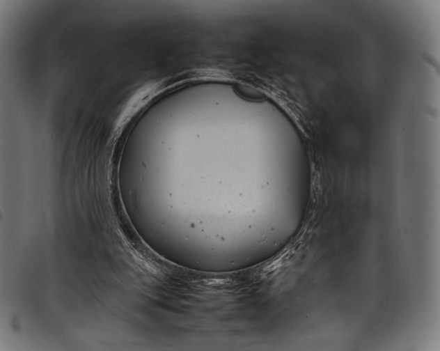 X0000097820151200803281129