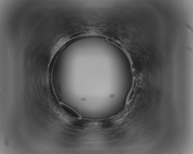 X0000097820152200803281129