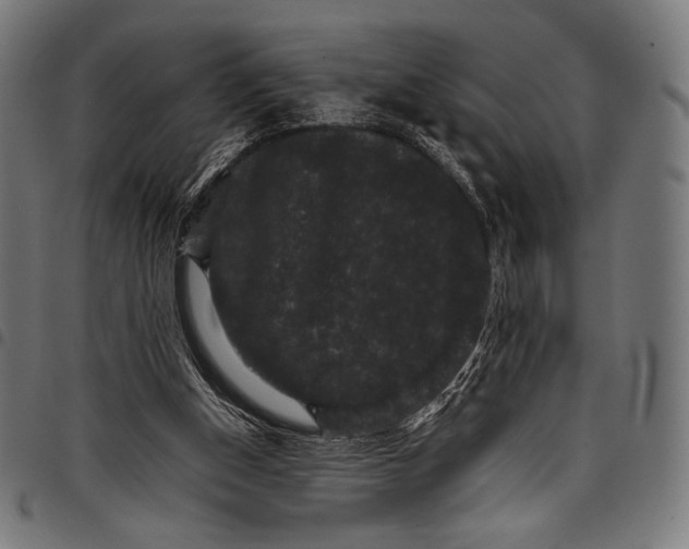 X0000097820154200803281129