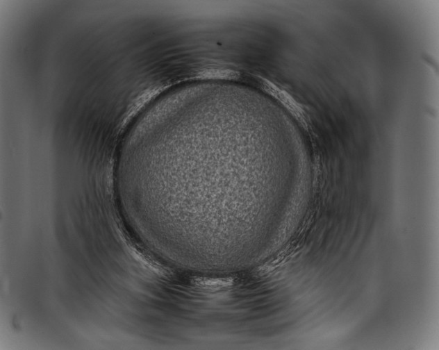 X0000097820155200803281129