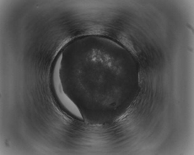 X0000097820156200803281129