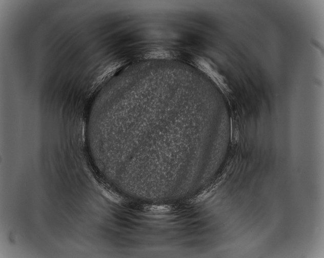 X0000097820157200803281129