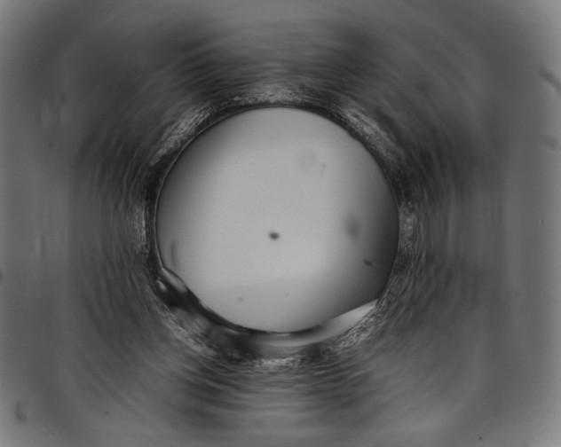 X0000097820158200803281129