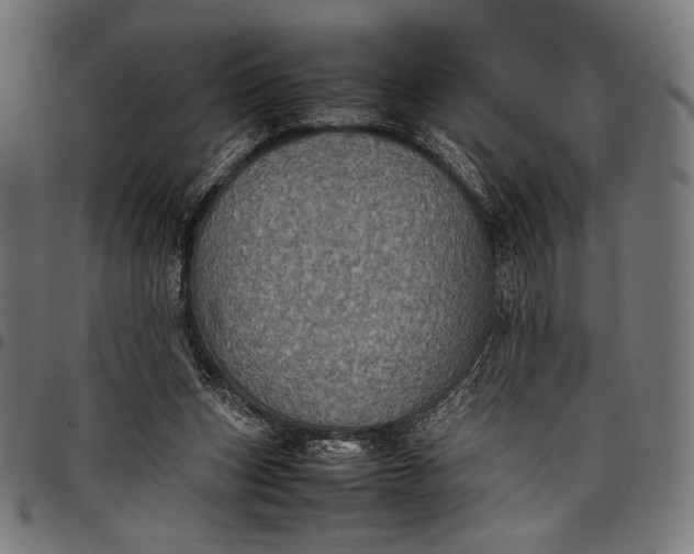 X0000097820159200803281129