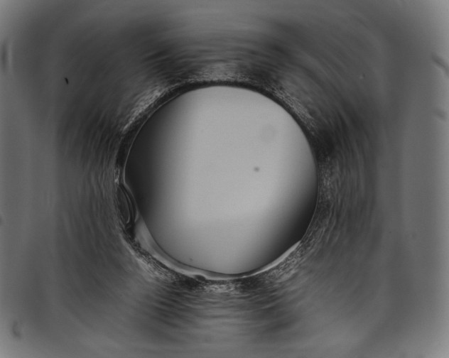 X0000097820160200803281129