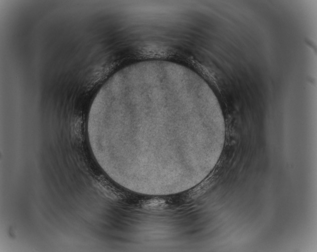 X0000097820162200803281129