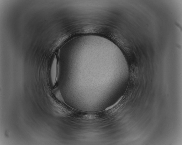 X0000097820164200803281129