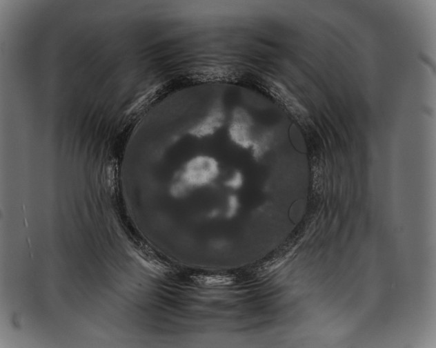 X0000097820165200803281129