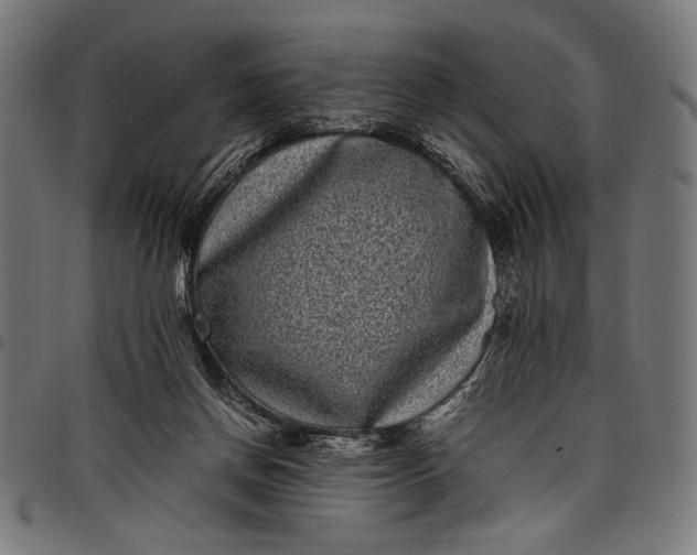 X0000097820166200803281129