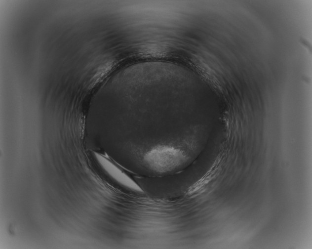 X0000097820168200803281129