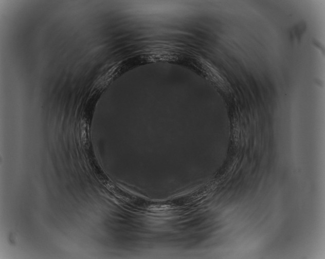 X0000097820169200803281129