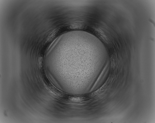 X0000097820171200803281129