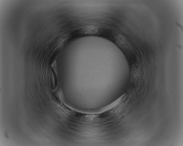 X0000097820172200803281129