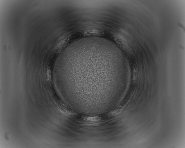 X0000097820173200803281129