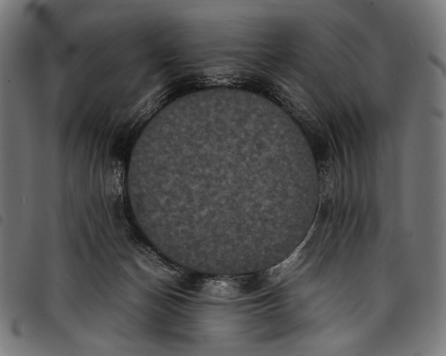 X0000097820174200803281129