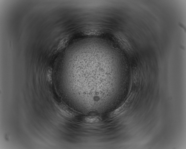 X0000097820175200803281129