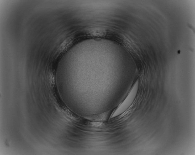 X0000097820176200803281129