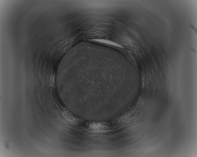 X0000097820177200803281129