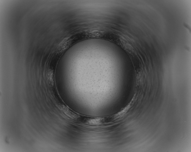 X0000097820178200803281129