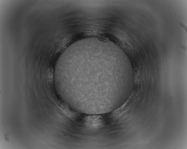 X0000097820179200803281129