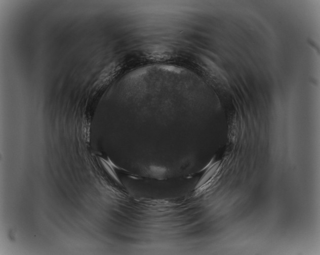 X0000097820180200803281129