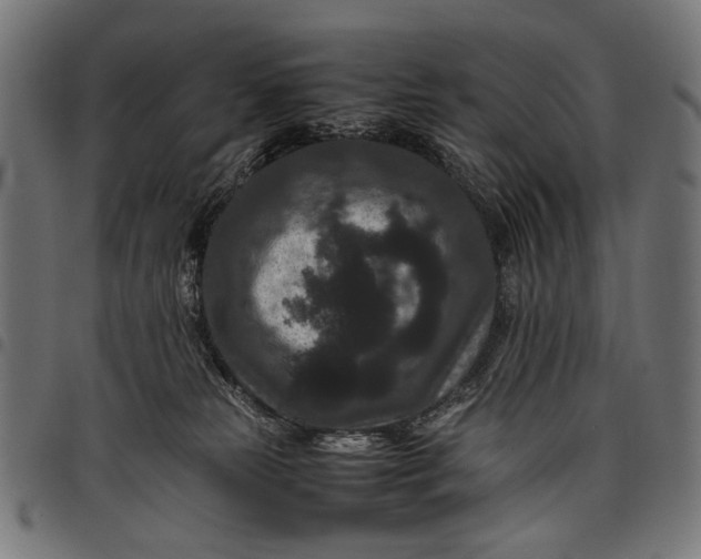 X0000097820181200803281129