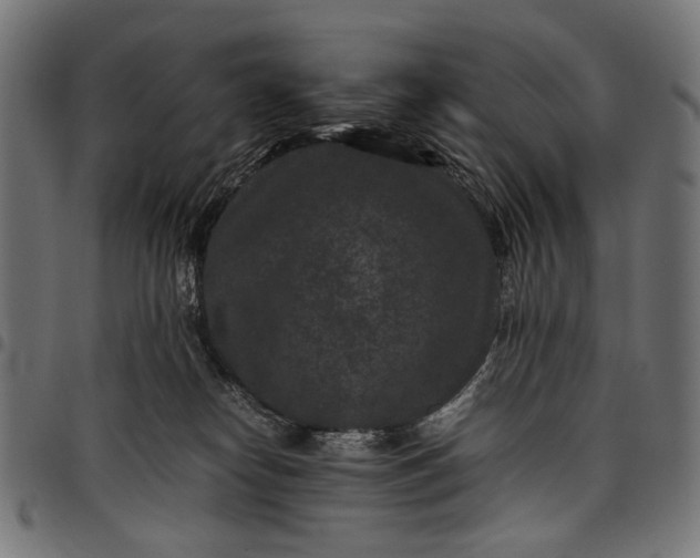 X0000097820182200803281129