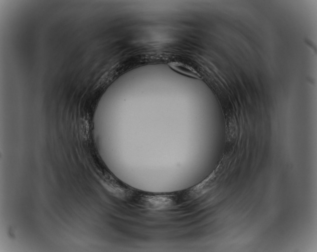 X0000097820183200803281129