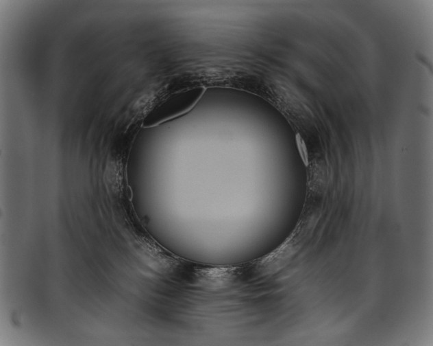 X0000097820184200803281129