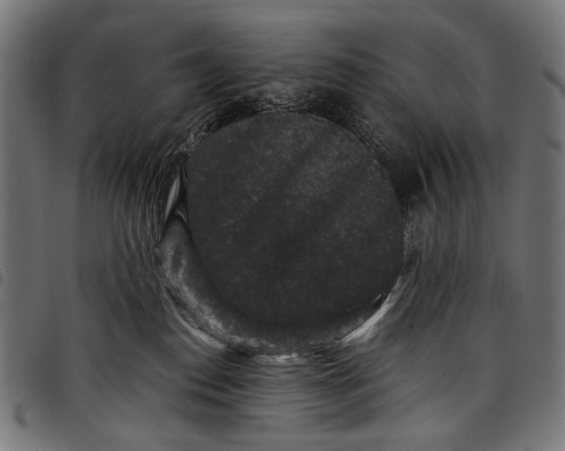 X0000097820186200803281129