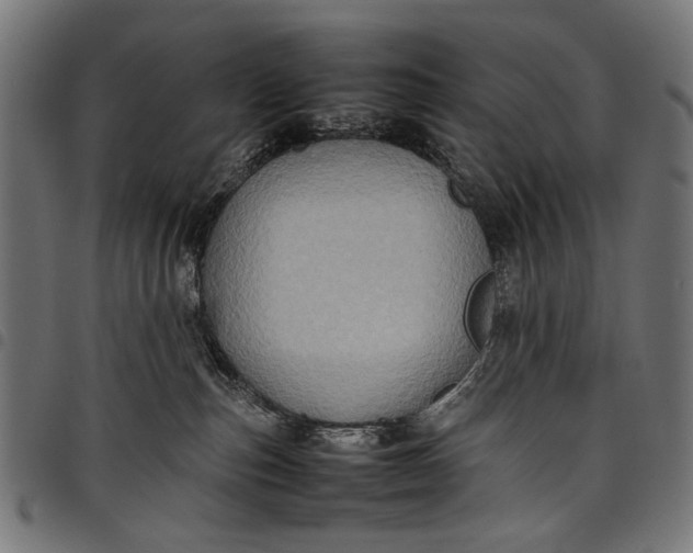 X0000097820187200803281129