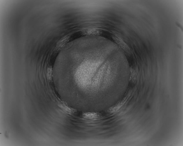 X0000097820189200803281129